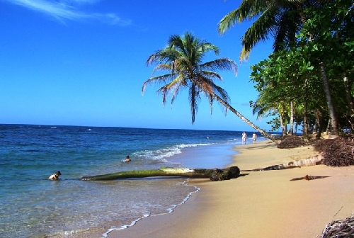 2889.Beach Costa Rica.jpg